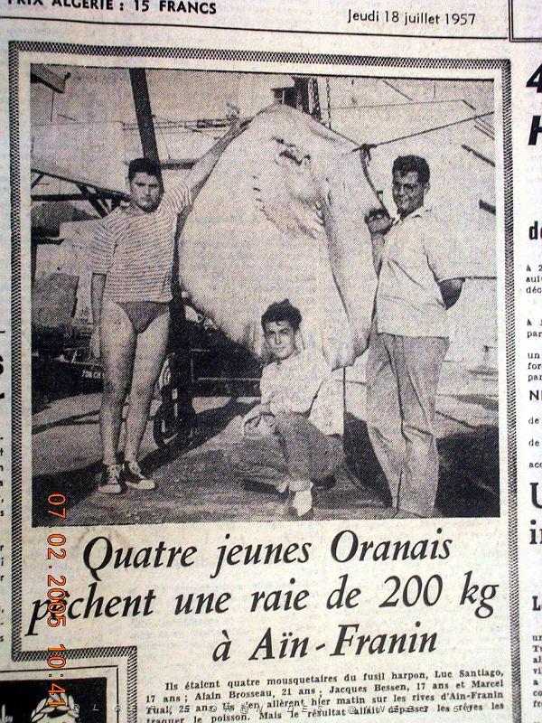 Oran documents divers 962.JPG